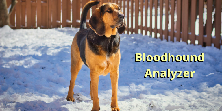 Bloodhound analyzer - The Portal of Knowledge